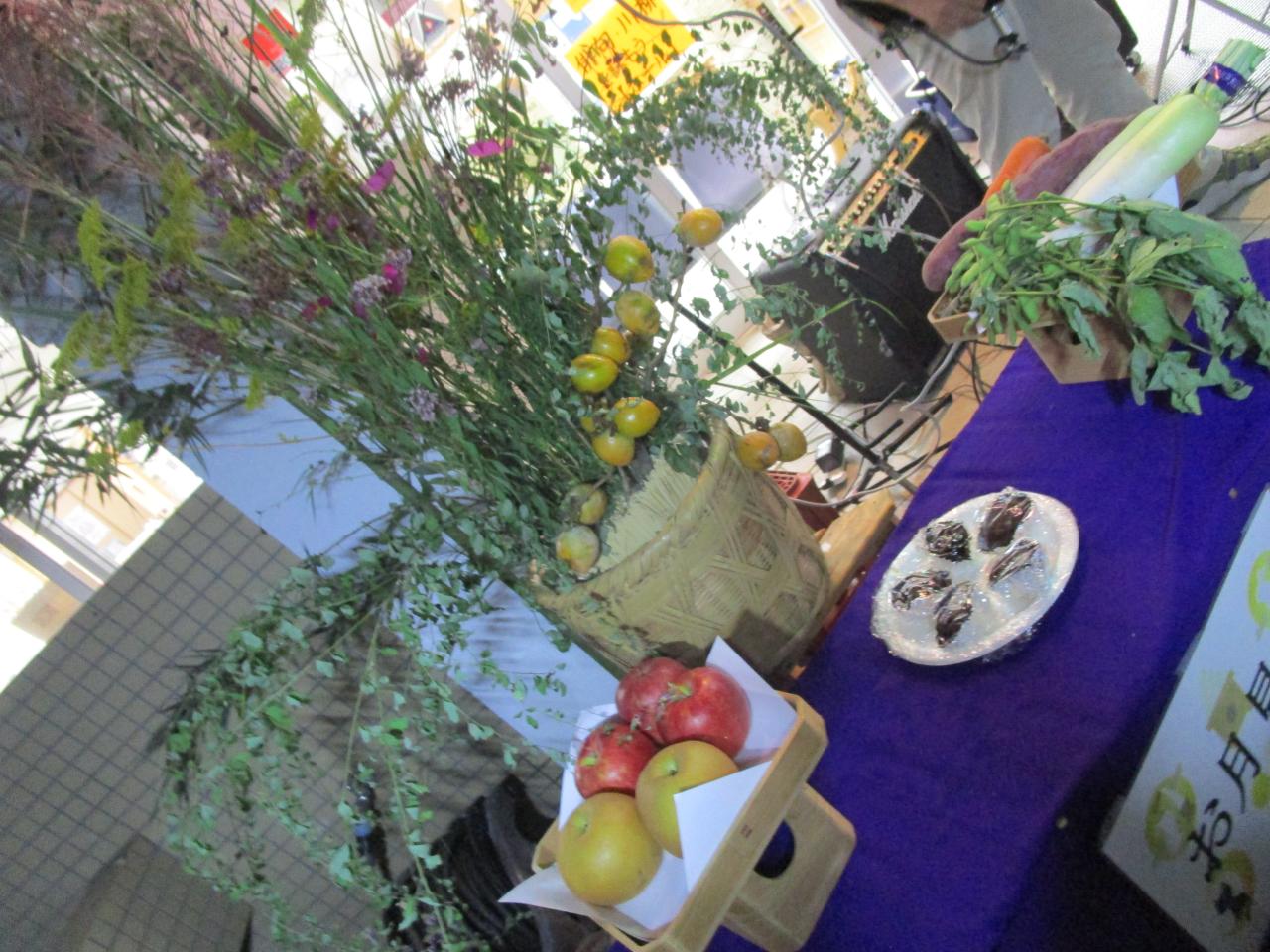 IMG_5346 IMG_5346