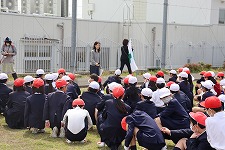 IMG_3565 IMG_3565