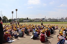 IMG_3801