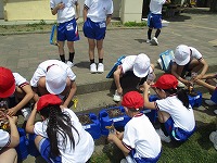 IMG_0506
