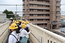 IMG_4140