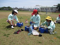 IMG_0587