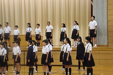 IMG_0335 IMG_0335