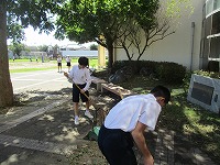 IMG_0956