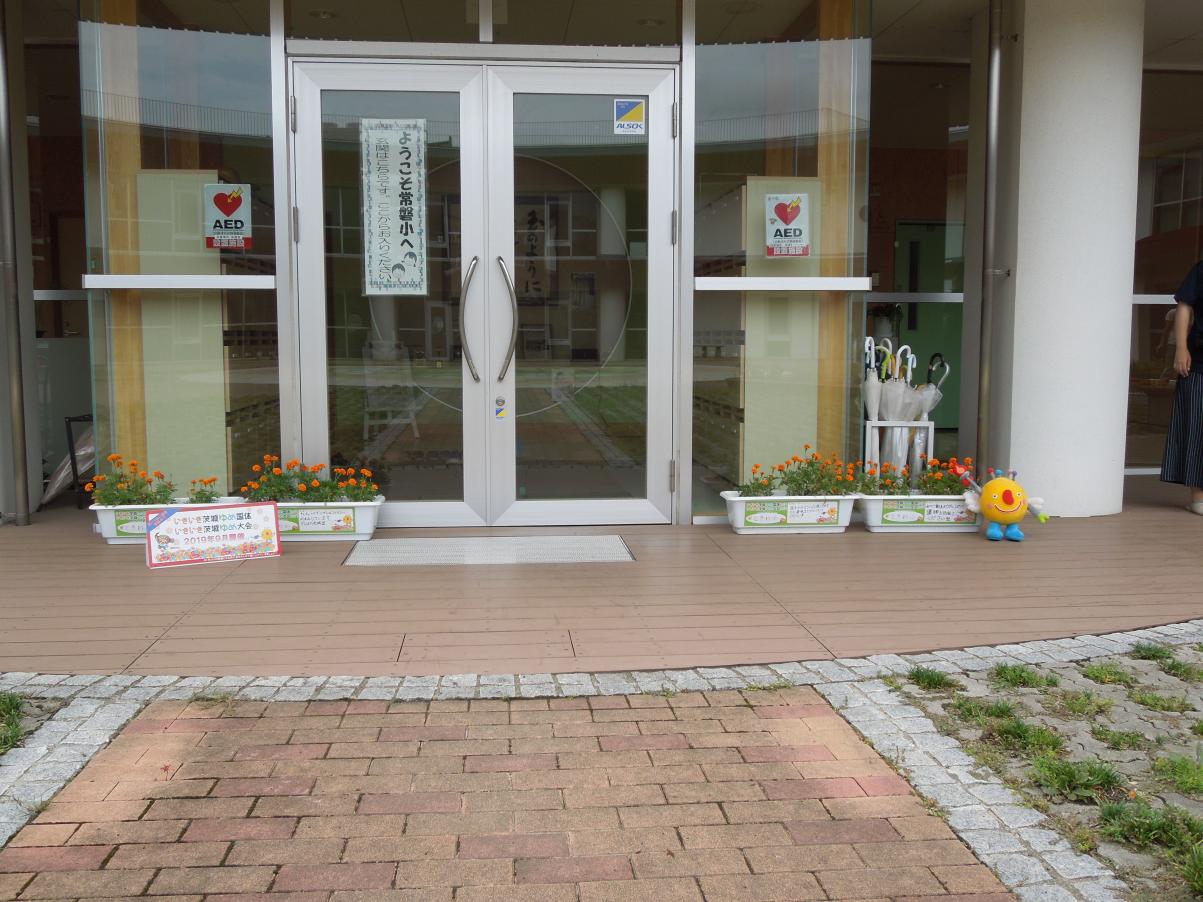 DSCN6138