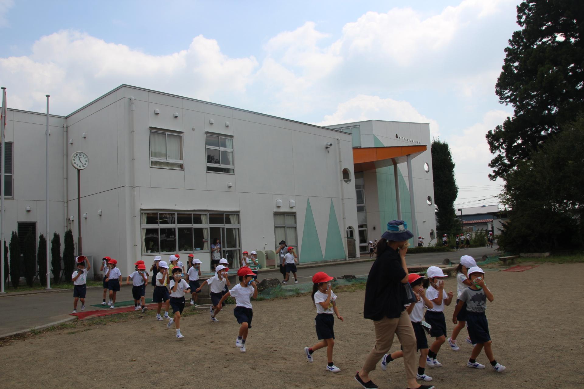 IMG_8454 IMG_8454