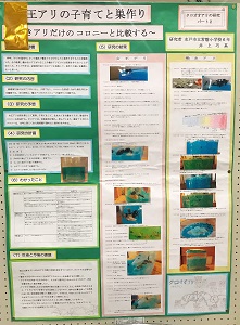 IMG_1496 IMG_1496