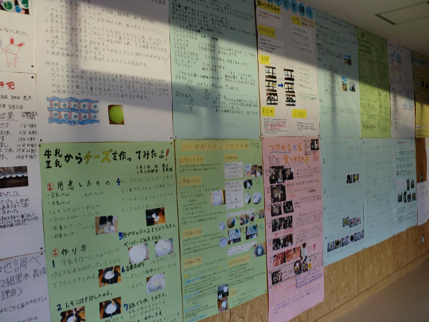 展示1 展示1