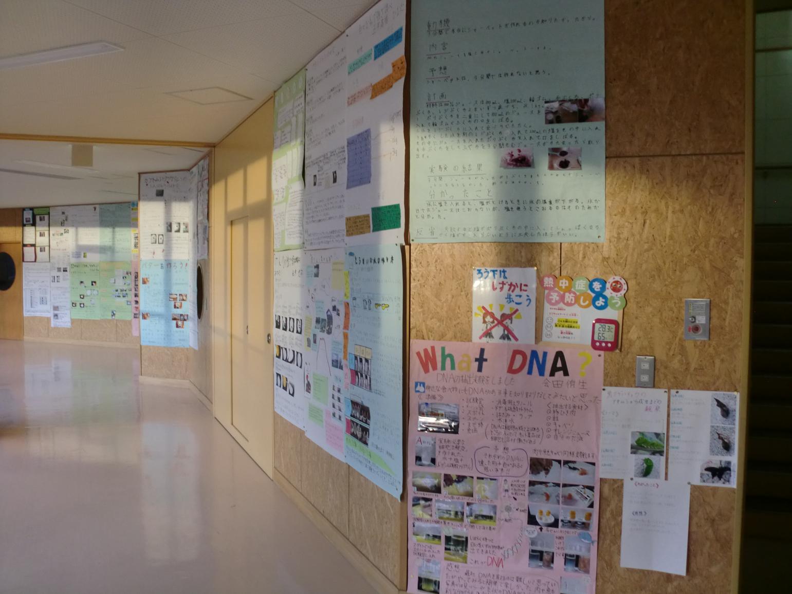 展示2 展示2