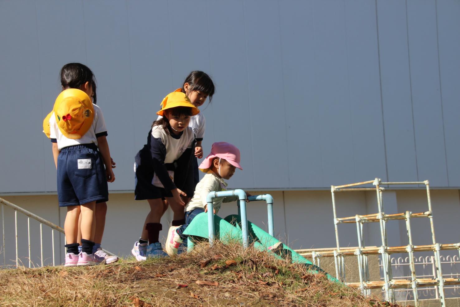 IMG_8973 IMG_8973