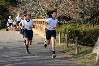 IMG_9531 IMG_9531