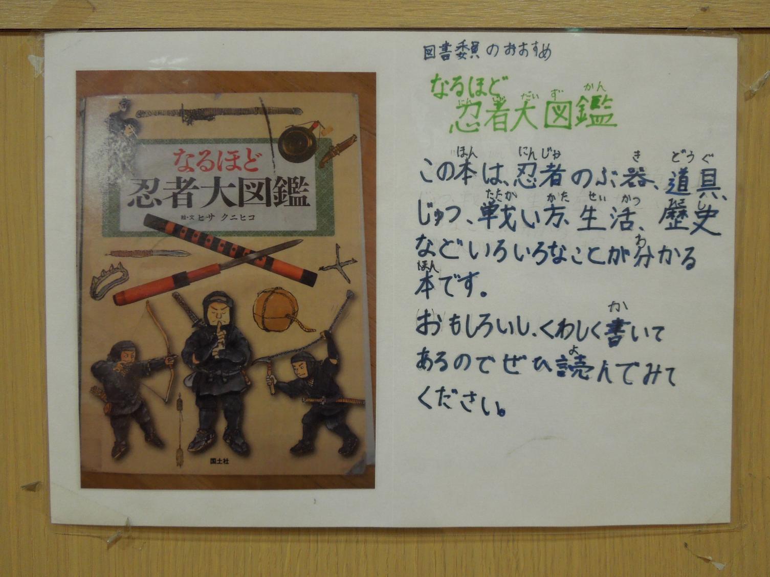 DSCN6713 DSCN6713