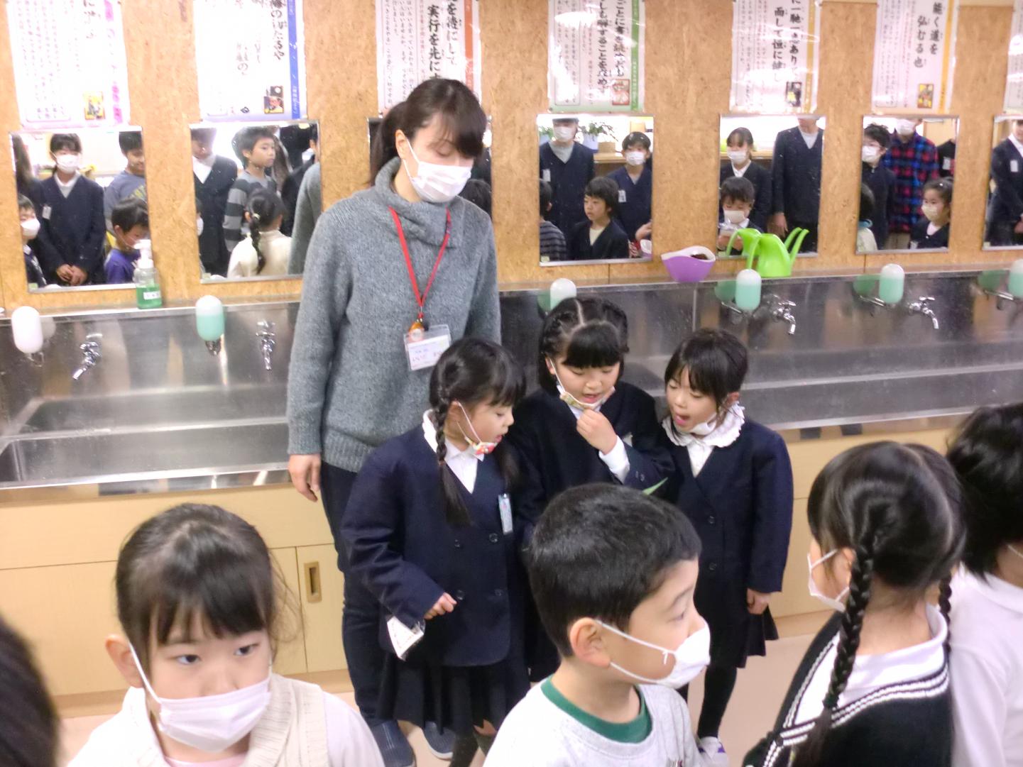 松ぼっくり3