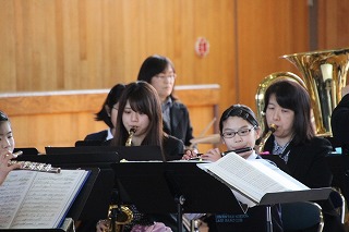 IMG_0535 IMG_0535
