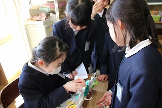 IMG_0624 IMG_0624