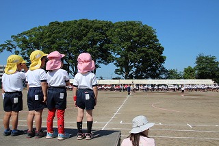 IMG_2559 IMG_2559