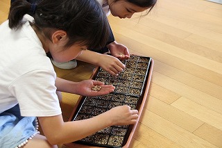IMG_2564 IMG_2564