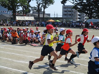 IMG_3259 IMG_3259