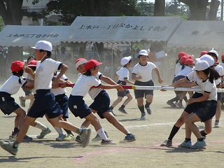 IMG_3240 IMG_3240