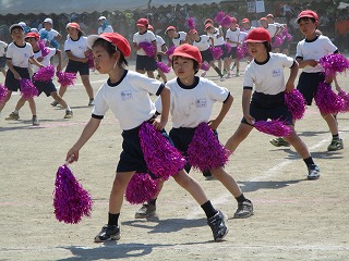IMG_3228 IMG_3228
