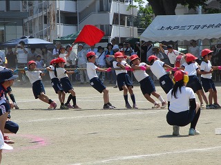 IMG_3221 IMG_3221