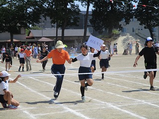 IMG_3204 IMG_3204