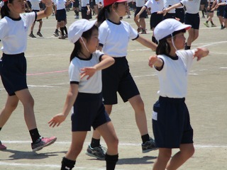 IMG_3188 IMG_3188