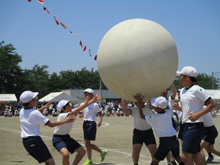 IMG_3179 IMG_3179