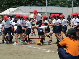 IMG_3135 IMG_3135