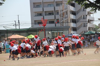 IMG_2611 IMG_2611