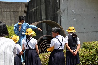 IMG_2705 IMG_2705