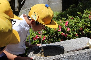 IMG_2697 IMG_2697