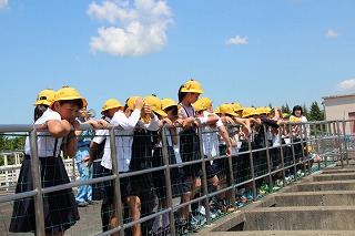 IMG_2696 IMG_2696