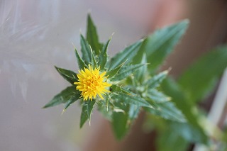 IMG_3756 IMG_3756