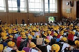 IMG_3804 IMG_3804