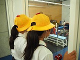 P9030099 P9030099