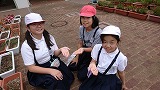 DSC_3363 DSC_3363