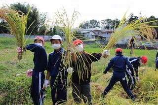 IMG_4245 IMG_4245