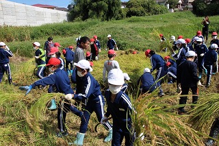 IMG_4248 IMG_4248