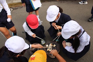 IMG_5135 IMG_5135