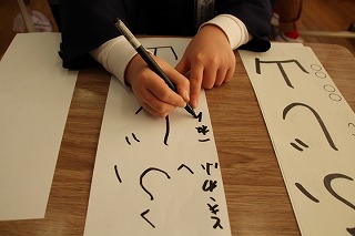 IMG_5492 IMG_5492