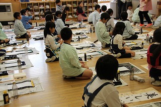 IMG_5501 IMG_5501