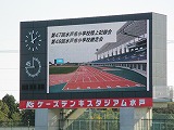 IMG_0130 IMG_0130