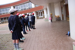 IMG_5734 IMG_5734