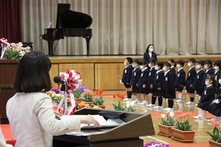 IMG_6816 IMG_6816