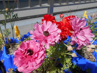 DSCN1309