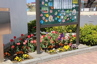 IMG_6875 IMG_6875