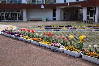 IMG_6882 IMG_6882