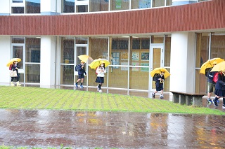 DSC_0598 DSC_0598