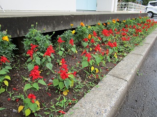 IMG_3452 IMG_3452